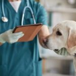 Trasparenza Veterinaria sotto i Riflettori: il Sunshine Act italiano guida dove la normativa statunitense sulla trasparenza non arriva.